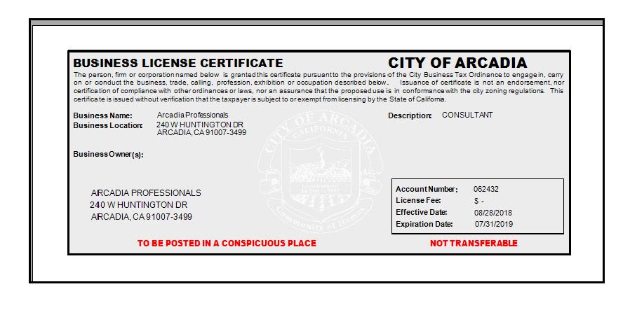 Sample Business License